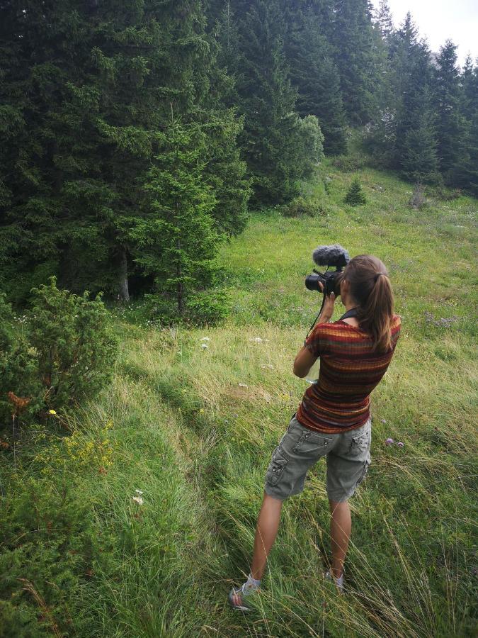 Zlatarske Brvnare Zlatar Chalets Nova Varoš Buitenkant foto