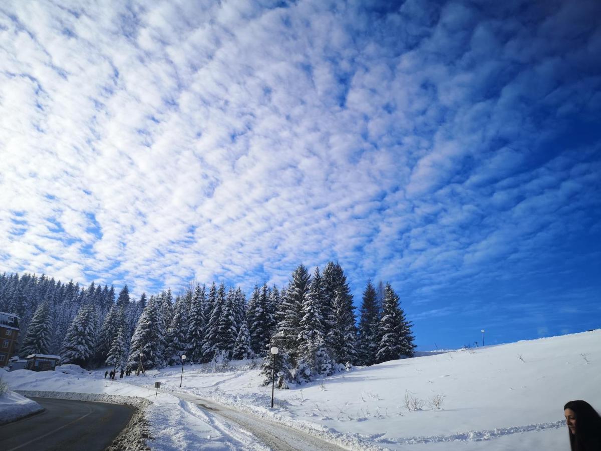 Zlatarske Brvnare Zlatar Chalets Nova Varoš Buitenkant foto