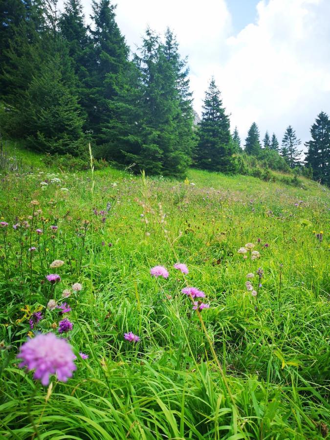 Zlatarske Brvnare Zlatar Chalets Nova Varoš Buitenkant foto